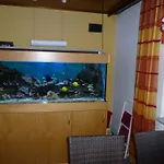 Wildunger Hof Mit Gemeinschaftskueche
