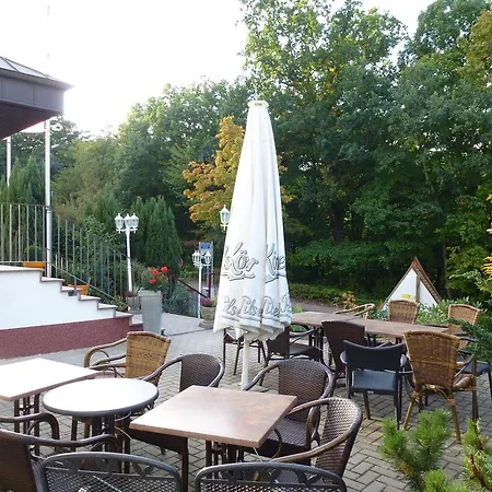 Отель Wildunger Hof Mit Gemeinschaftskueche 3*